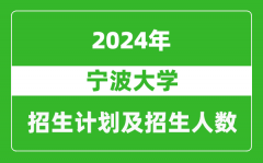 宁波大学2024年在青海的招生计划及招生人数