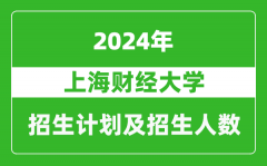 上海财经大学2024年在青海的招生计划及招生人数