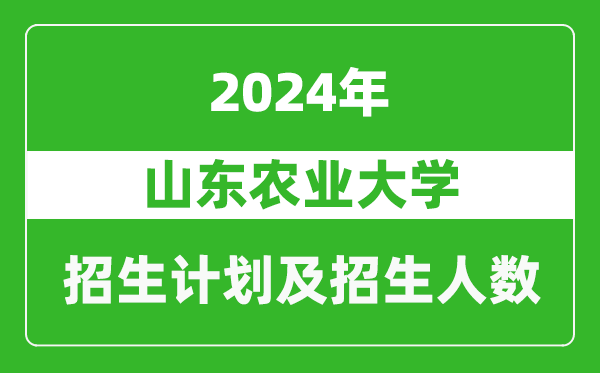 山东农业大学2024年在新疆的招生计划及招生人数