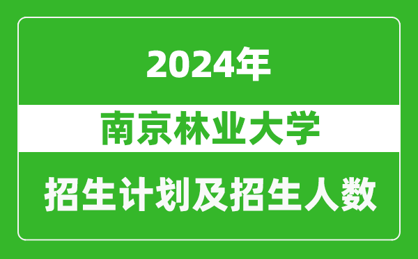 南京林业大学2024年在新疆的招生计划及招生人数