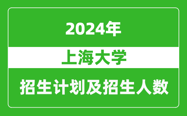 上海大学2024年在新疆的招生计划及招生人数