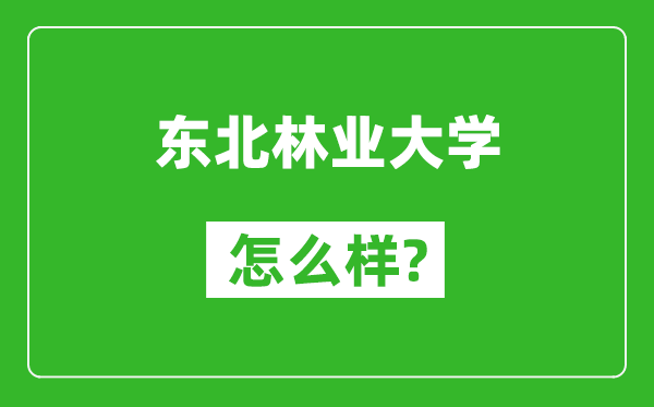 东北林业大学怎么样好不好,值得报考吗？