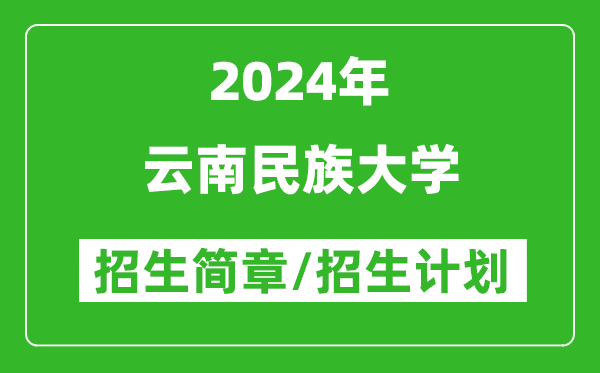 云南民族大学2024年高考招生简章及各省招生计划人数