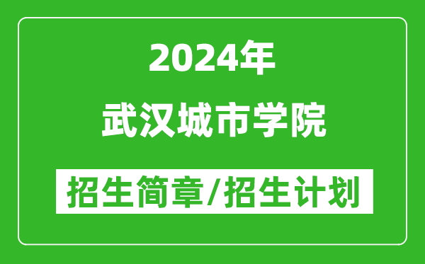 武汉城市学院2024年高考招生简章及各省招生计划人数