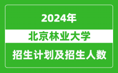 北京林业大学2024年在云南的招生计划及招生人数