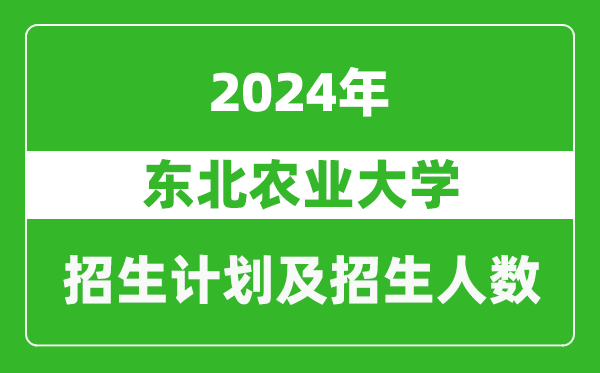 东北农业大学2024年在广西的招生计划及招生人数