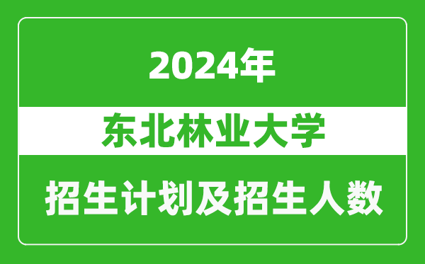 东北林业大学2024年在福建的招生计划及招生人数