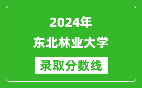 2024上海高考多少分可以上东北林业大学（含分数线、位次）