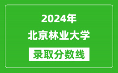 2024上海高考多少分可以上北京林业大学（含分数线、位次）
