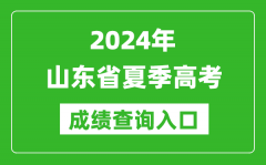 2024山东省夏季高考成绩查询平台入口:https://cx.sdzk.cn/