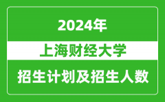 上海财经大学2024年在河北的招生计划及招生人数