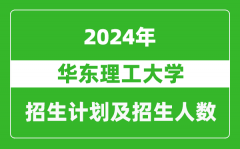 华东理工大学2024年在河北的招生计划及招生人数