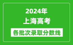 2024上海高考各批次录取分数线一览表（含一本,二本,专科）