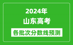 2024山东高考各批次分数线预测（附历年录取分数线）