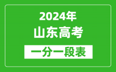 2024山东高考一分一段表_高考位次排名查询（完整版）