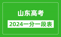 山东高考分数线2024年一分一段表（高考成绩分数段）