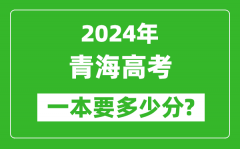 2024年青海一本要多少分_青海一本线预估