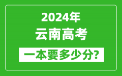 2024年云南一本要多少分_云南一本线预估