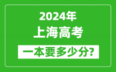 2024年上海一本要多少分_上海一本线预估