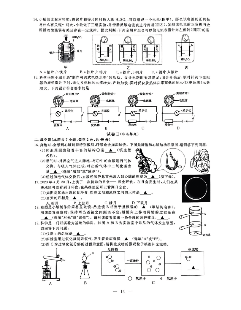 2024年绍兴中考科学试卷真题及答案解析