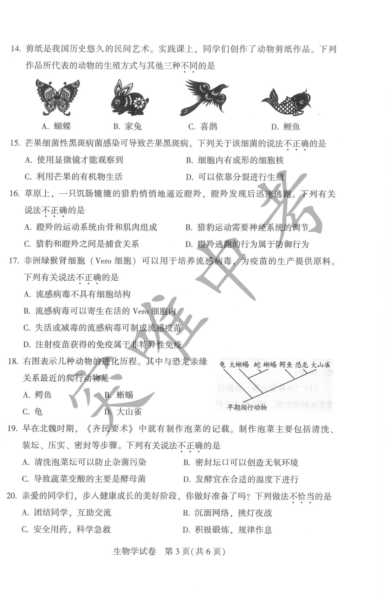 2024年河南中考生物试卷真题及答案解析