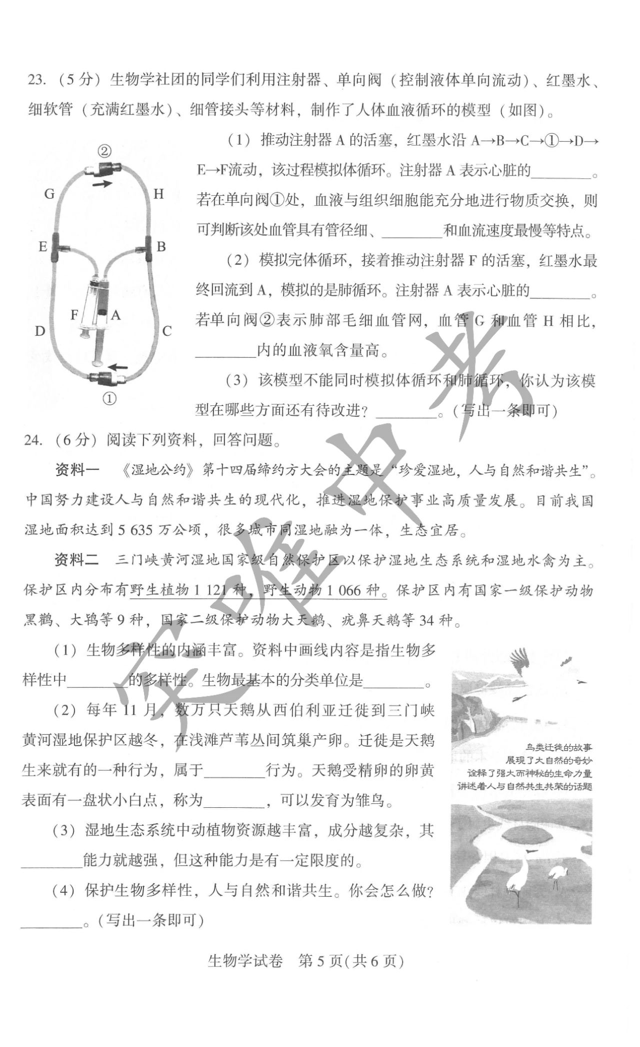 2024年河南中考生物试卷真题及答案解析