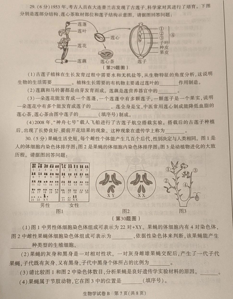 2024年陕西中考生物试卷真题及答案解析