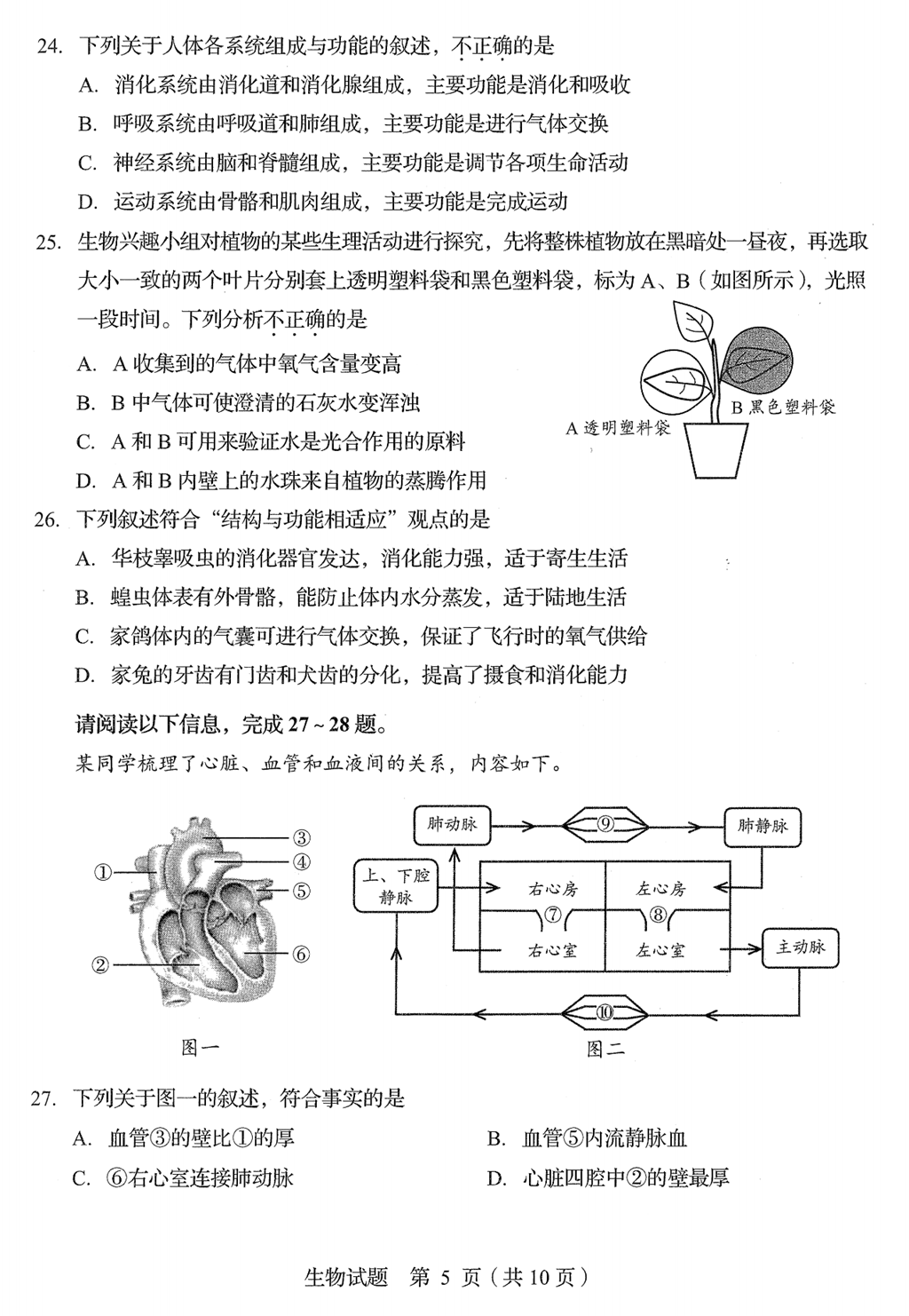 2024年青岛中考生物试卷真题及答案解析