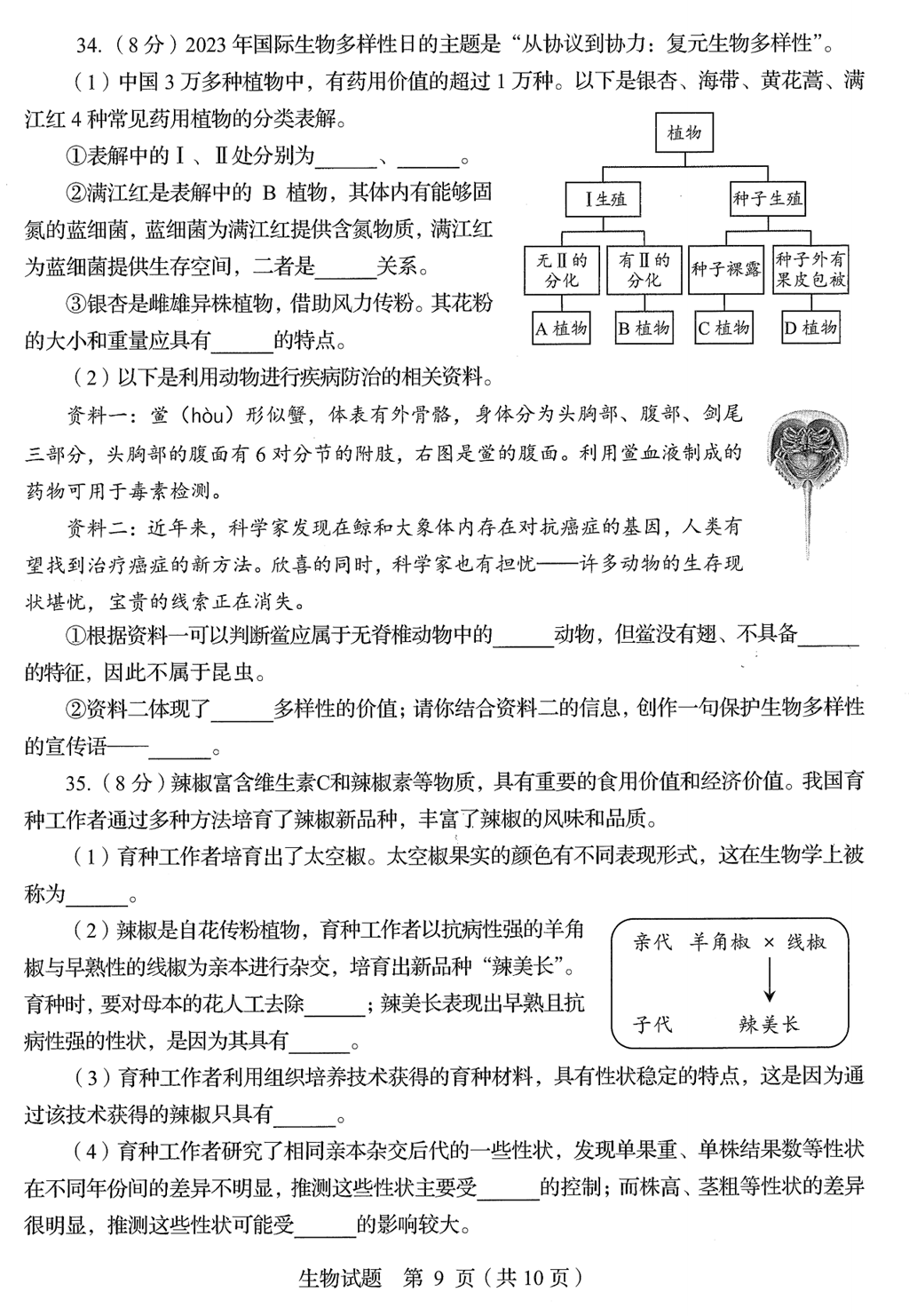 2024年青岛中考生物试卷真题及答案解析