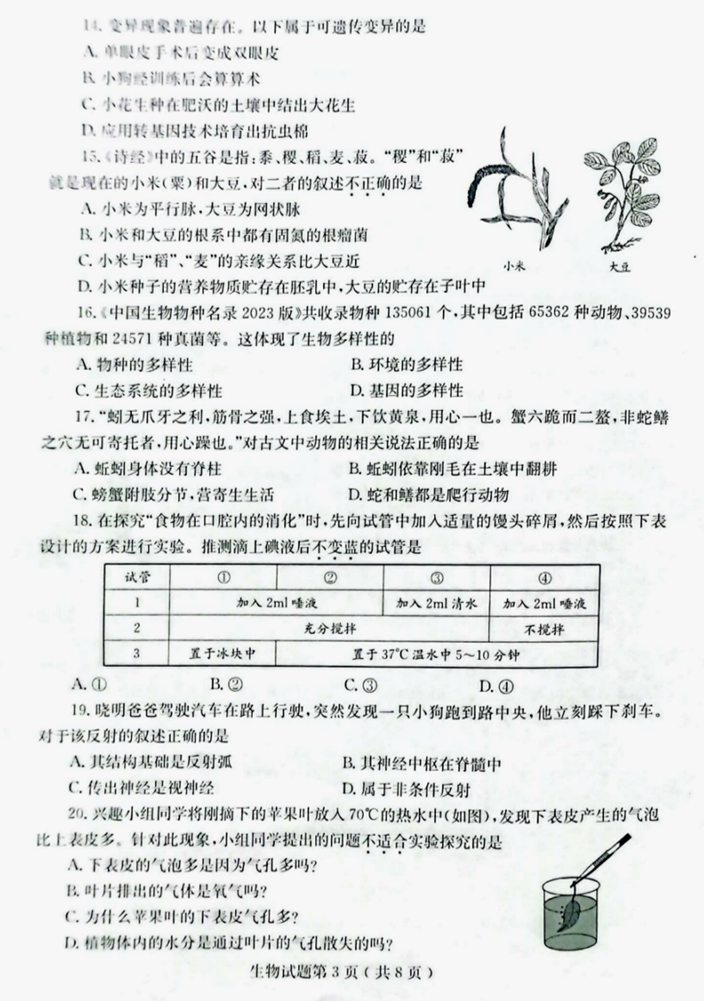 2024年烟台中考生物试卷真题及答案解析