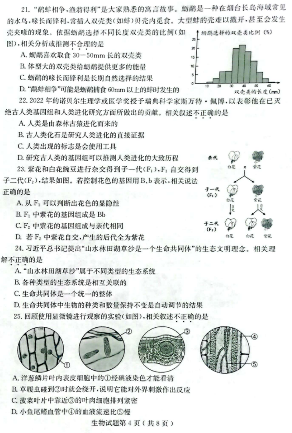 2024年烟台中考生物试卷真题及答案解析