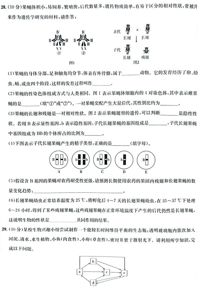 2024年济宁中考生物试卷真题及答案解析