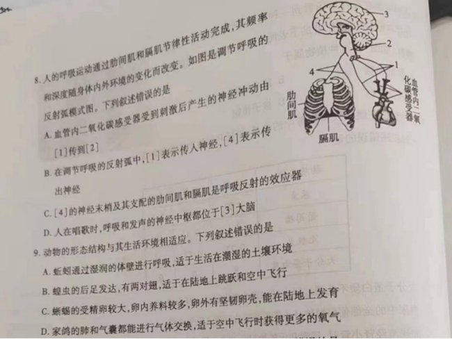 2024年泰安中考生物试卷真题及答案解析