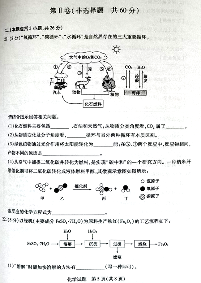 2024年泰安中考化学试卷真题及答案解析