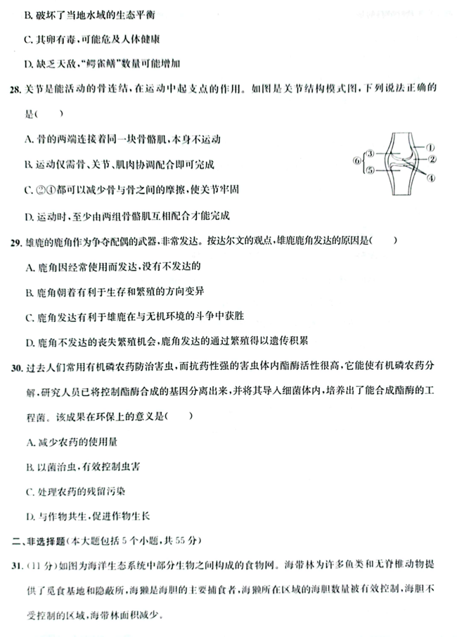 2024年日照中考生物试卷真题及答案解析