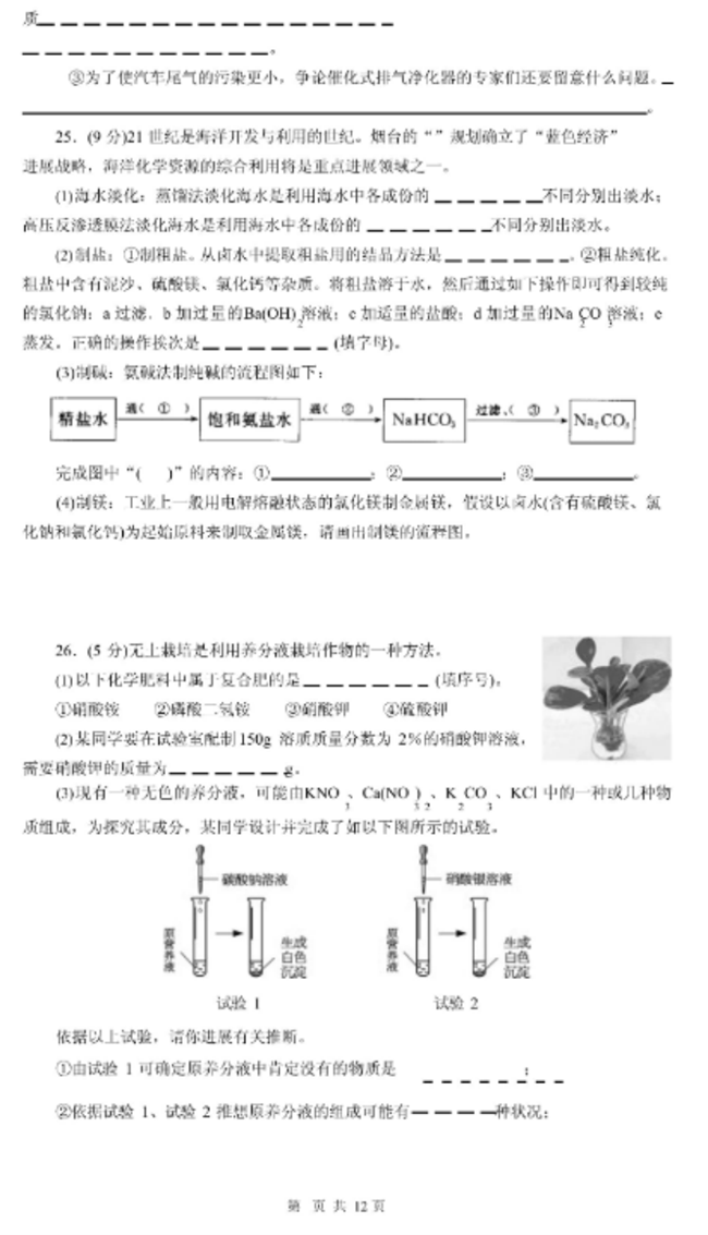 2024年南京中考化学试卷真题及答案解析