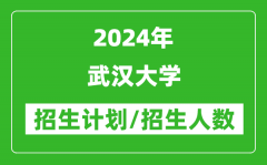 2024年武汉大学各省招生计划及各专业招生人数是多少？