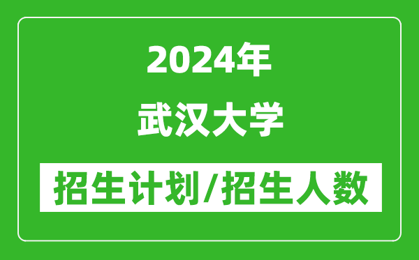 2024年武汉大学各省招生计划及各专业招生人数是多少