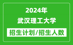 2024年武汉理工大学各省招生计划及各专业招生人数是多少？