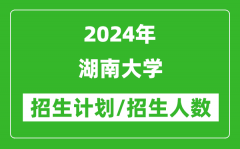 2024年湖南大学各省招生计划及各专业招生人数是多少？