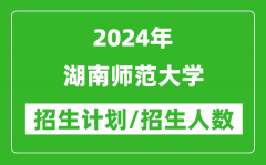 2024年湖南师范大学各省招生计划及各专业招生人数是多少？