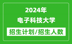 2024年电子科技大学各省招生计划及各专业招生人数是多少？