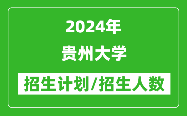 2024年贵州大学各省招生计划及各专业招生人数是多少