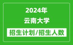 2024年云南大学各省招生计划及各专业招生人数是多少？