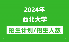 2024年西北大学各省招生计划及各专业招生人数是多少？