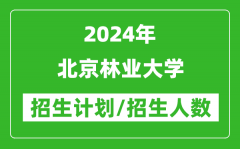 2024年北京林业大学各省招生计划及各专业招生人数是多少？