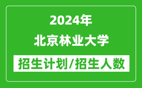 2024年北京林业大学各省招生计划及各专业招生人数是多少