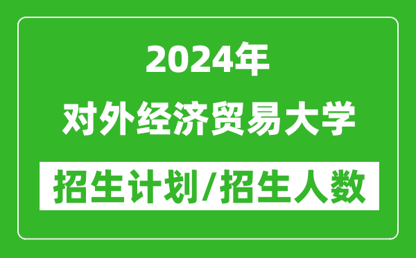 2024年对外经济贸易大学各省招生计划及各专业招生人数是多少