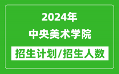 2024年中央美术学院各省招生计划及各专业招生人数是多少