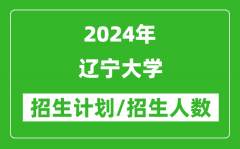 2024年辽宁大学各省招生计划及各专业招生人数是多少？